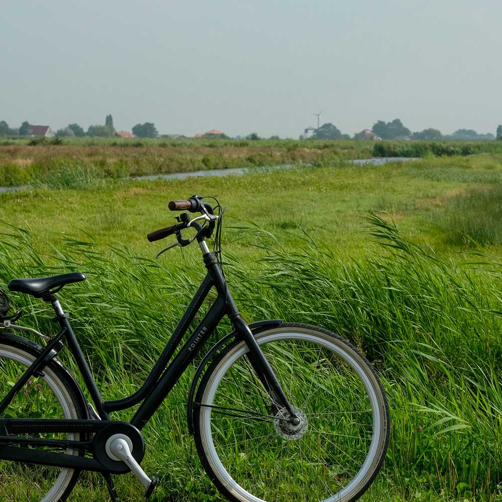 Fiets